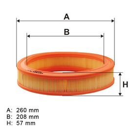 Filter vazduha Filtron AR255