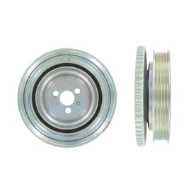 Remenica radilice Dayco DPV1025 - 515823 - 544003310