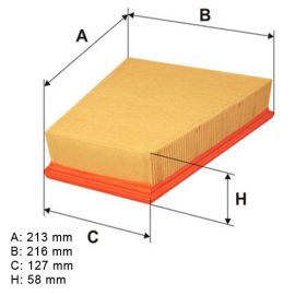 Filter vazduha Filtron AP189 - LX998 - CAF100715P - 1457433532