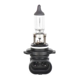 Sijalica Bosch 1987302083 H10 12V 42W