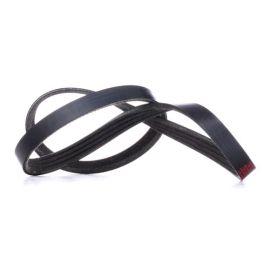 Kaiš kanalni Dayco 4PK905