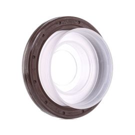 Semering radilice Reinz 813348910 - 127610 - 15056500 - 20020389B - NA5108