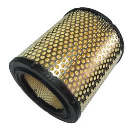 Filter vazduha Champion V431