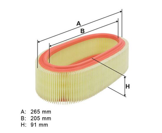 Filter vazduha Filtron AR131/1