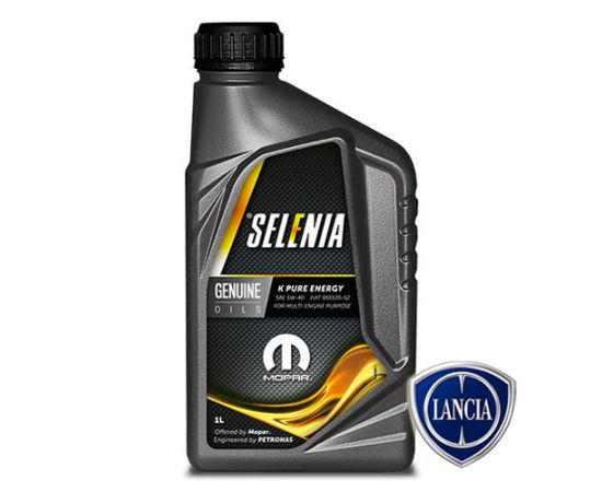 Set mali servis Lancia Musa 1.4 57-70 kW