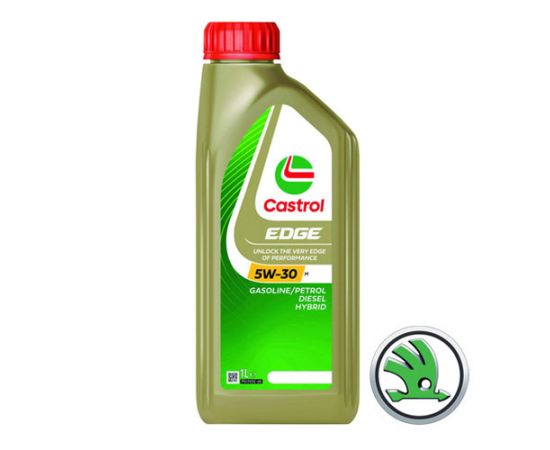 Set mali servis Škoda Fabia II 1.4 TDI 59 kW (do 2014)